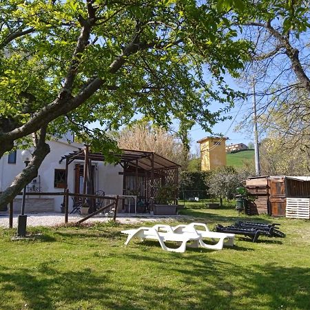 Mondavio Sotto L'Ulivo Bed & Breakfast エクステリア 写真