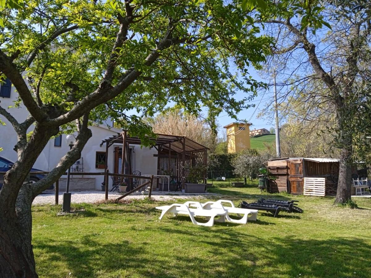 Mondavio Sotto L'Ulivo Bed & Breakfast エクステリア 写真