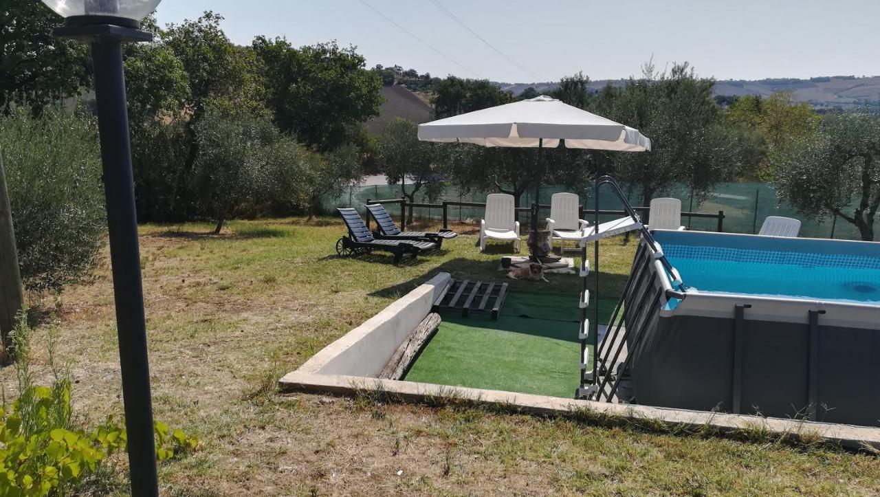 Mondavio Sotto L'Ulivo Bed & Breakfast エクステリア 写真