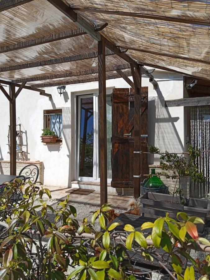 Mondavio Sotto L'Ulivo Bed & Breakfast エクステリア 写真