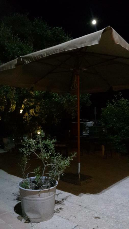 Mondavio Sotto L'Ulivo Bed & Breakfast エクステリア 写真