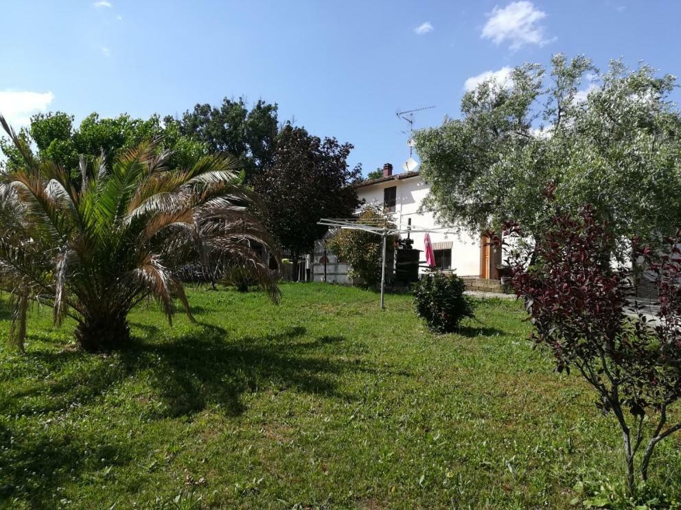 Mondavio Sotto L'Ulivo Bed & Breakfast エクステリア 写真
