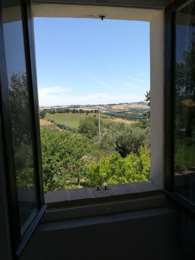 Mondavio Sotto L'Ulivo Bed & Breakfast エクステリア 写真