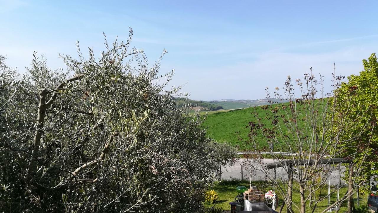Mondavio Sotto L'Ulivo Bed & Breakfast エクステリア 写真