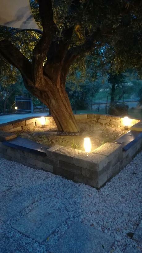 Mondavio Sotto L'Ulivo Bed & Breakfast エクステリア 写真